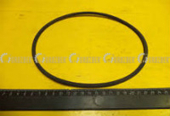 WELLENDICHTRING 30X62X12 0050600