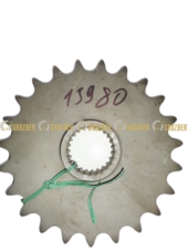13980 Зірочка 13980
