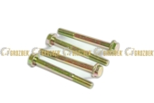 19M8039 Гвинт  M8x80 19M8039