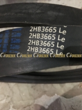 2HB3665 Пас 2HB3665