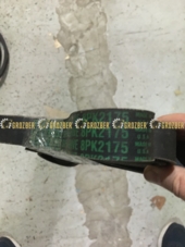 8PK2175 Пас (R503505) 8PK2175