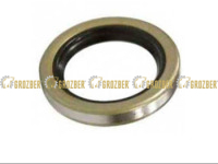 AE53176 Сальник JOHN DEERE sku AE53176