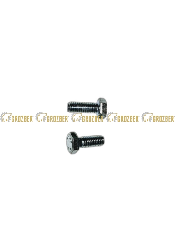H207542 (H168565) гвинт AGRI PARTS арт. H207542