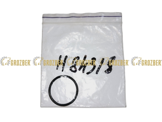 Photo 2 - H84318 кільце ущільнююче JOHN DEERE sku H84318