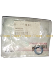 KK012919 Шайба D13.0XD24.0X2.50 KK012919