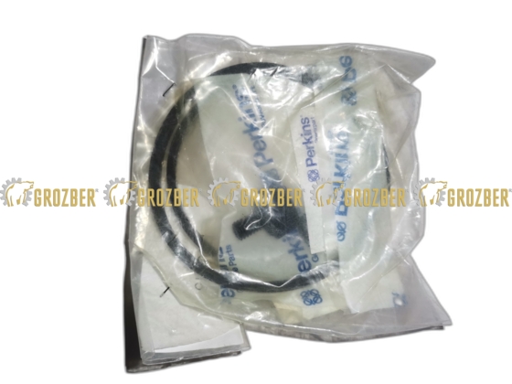 P00715 Сальник (DICHTSATZ F. VORFILTER) MERLO sku P00715
