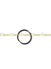 R121193-GBI сідло клапана впускного R121193-GBI