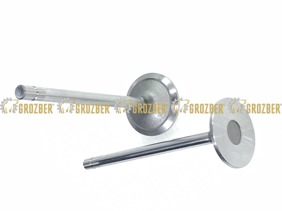 Фото 3 - R504060-GBI впускний клапан GBI арт. R504060-GBI