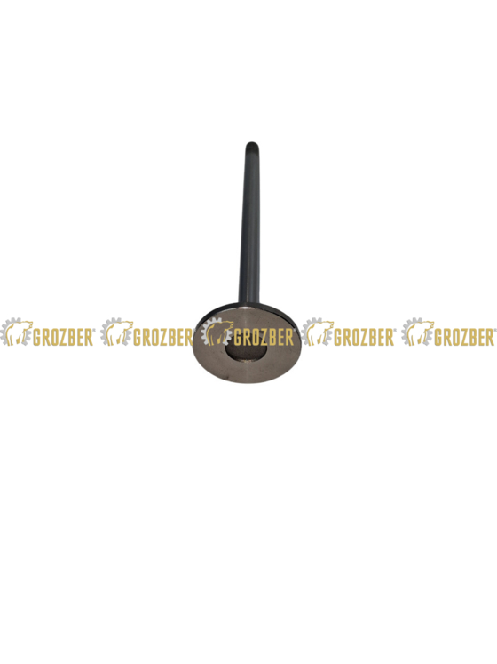 Photo 2 - R520223-GBI впускний клапан GBI sku R520223-GBI