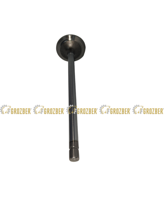 Photo 3 - R520223-GBI впускний клапан GBI sku R520223-GBI