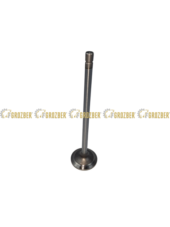 Photo 1 - R520223-GBI впускний клапан GBI sku R520223-GBI