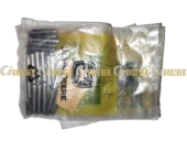 R68171 голковий ролик R68171
