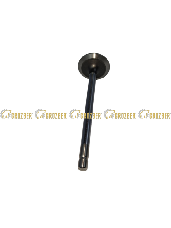 Фото 3 - R84619-GBI випускний клапан GBI арт. R84619-GBI