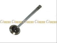 R98062 Впускинй клапан JOHN DEERE арт. R98062