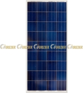 BlueSolar Panels SPM040953003